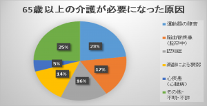 介護の原因