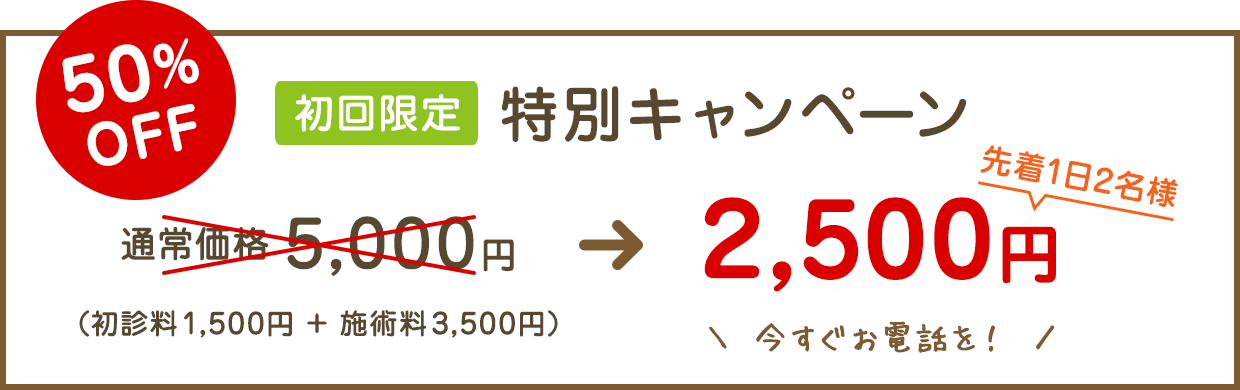 初回限定 特別キャンペーン